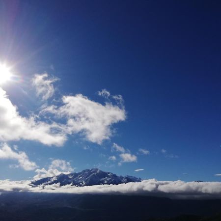 ホテル Parfumu Di Celu Santa-Lucia-di-Mercurio エクステリア 写真