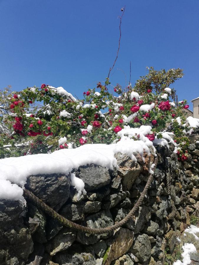 ホテル Parfumu Di Celu Santa-Lucia-di-Mercurio エクステリア 写真